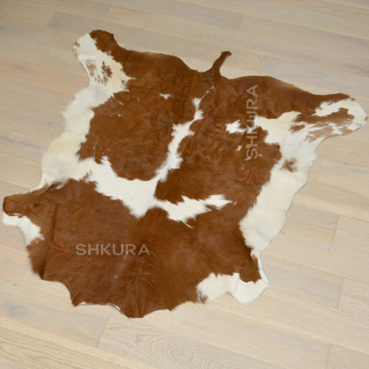 Шкура теляти 02