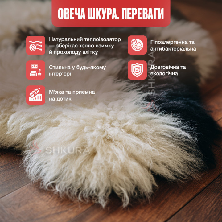 Овечья шкура пятнистая 11