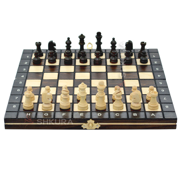 Магнитные шахматы Royal mini, 26x26 см. Роял мини