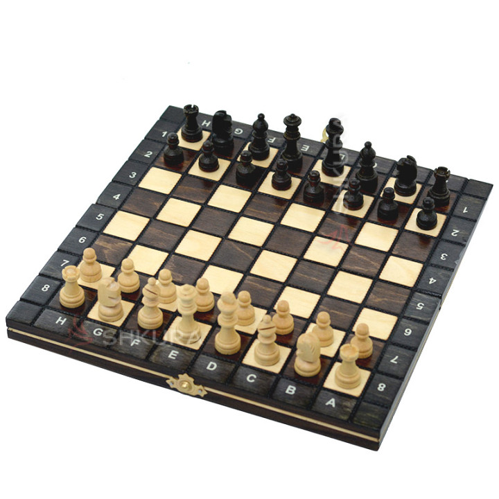 Магнитные шахматы Royal mini, 26x26 см. Роял мини
