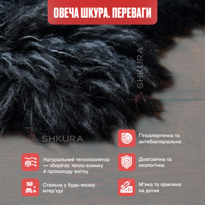 Килим з овчини ісландської породи чорного кольору, з 2-х шкур